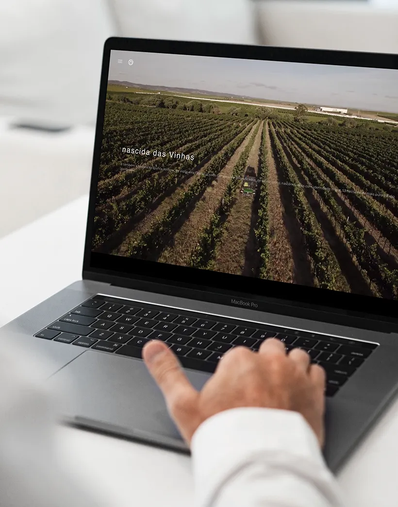 client looking at a picture of a field of vines on quinta do paral website